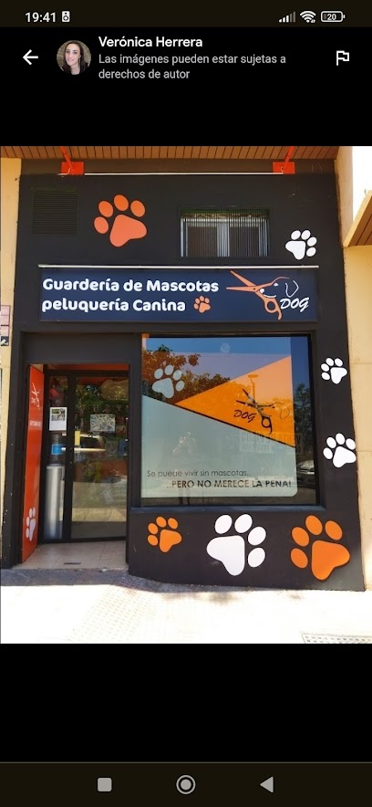 Dog La Tienda de tu Mascota-Jaén